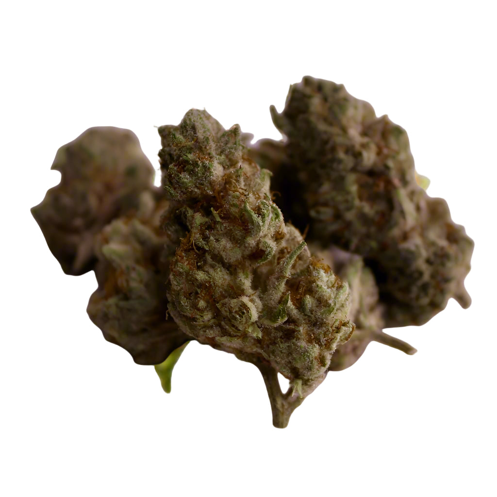 Watermelon Mimosa | Hydroponic Exotic THCa Flower