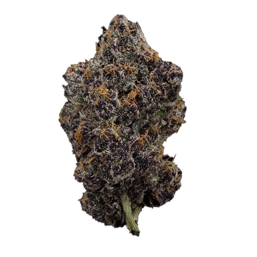 Purple Zaza | Indoor THCa Flower