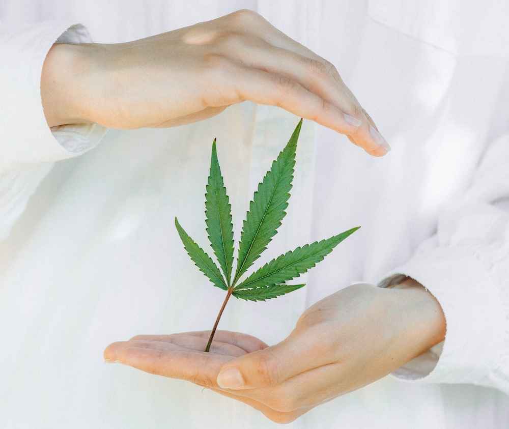 Delta-8 vs Delta-10: What’s the Difference?