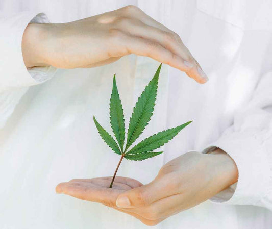 Delta-8 vs Delta-10: What’s the Difference?