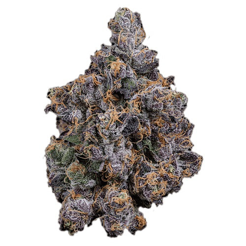 Biscotti | Indoor THCa Flower