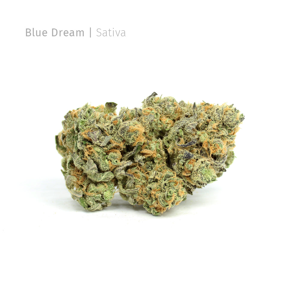 Blue Dream | Indoor THCa Flower